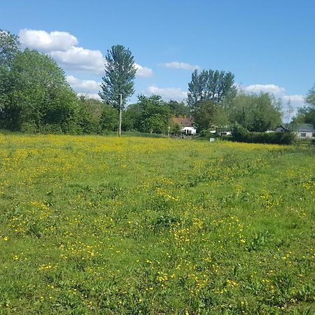 1 Bed In Taunton 75135 Βίλα Isle Brewers Εξωτερικό φωτογραφία